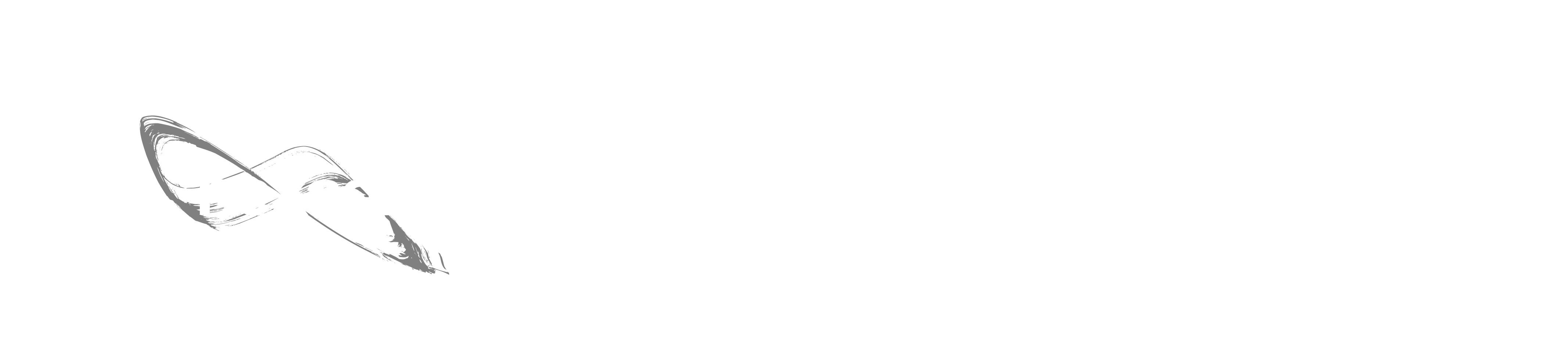 banner_a.png